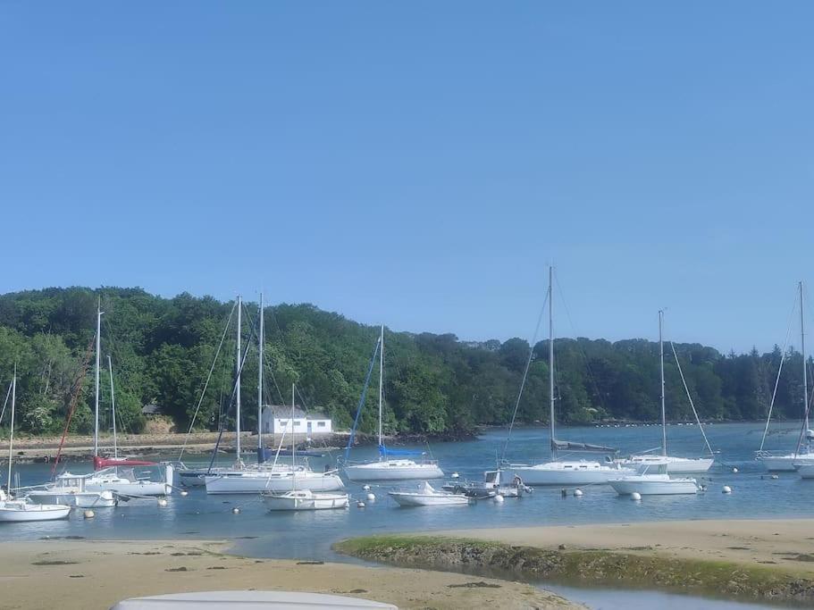 Appartement Nature Et Mer. Moëlan-sur-Mer エクステリア 写真