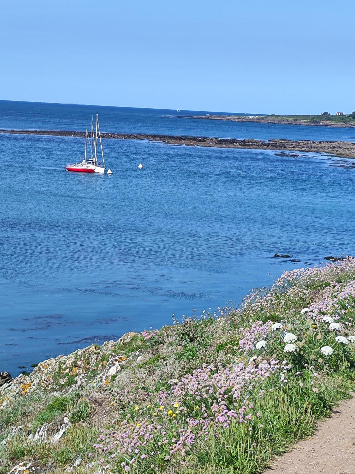 Appartement Nature Et Mer. Moëlan-sur-Mer エクステリア 写真